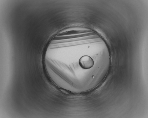 X0000111360201200907311019