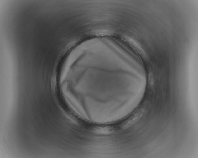 X0000111360202200907311019