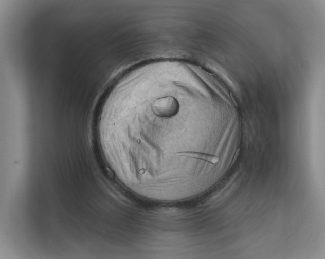 X0000111360203200907311019