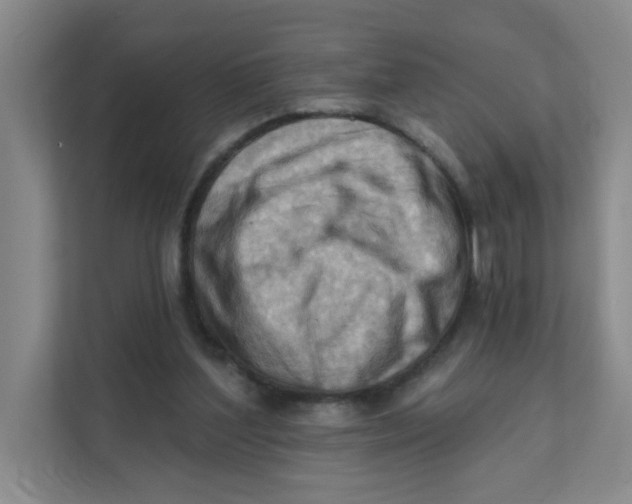 X0000111360204200907311019