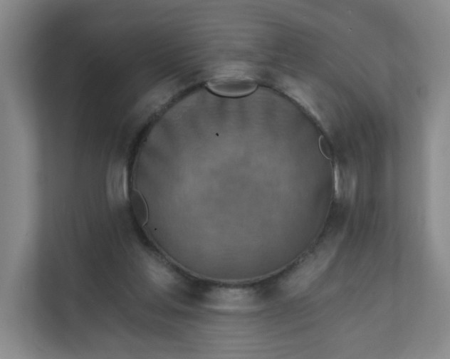 X0000111360205200907311019