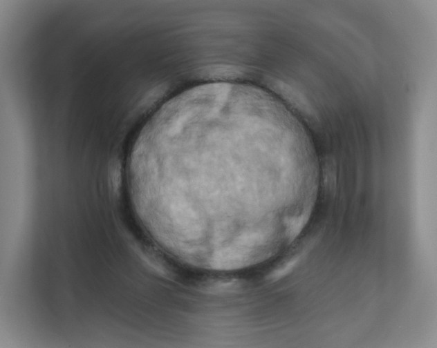 X0000111360206200907311019