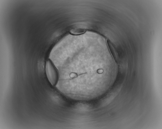 X0000111360207200907311019