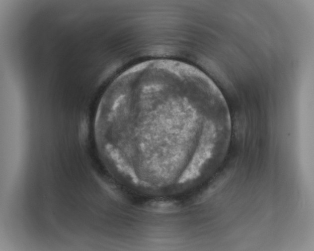 X0000111360208200907311019