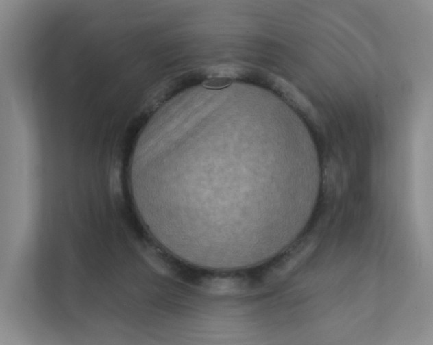 X0000111360209200907311019