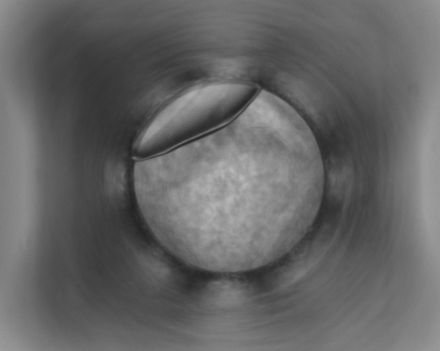 X0000111360211200907311019