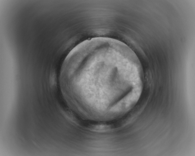 X0000111360212200907311019