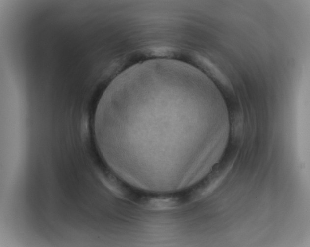 X0000111360213200907311019