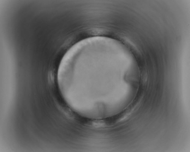 X0000111360214200907311019