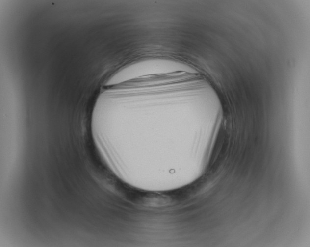 X0000111360215200907311019