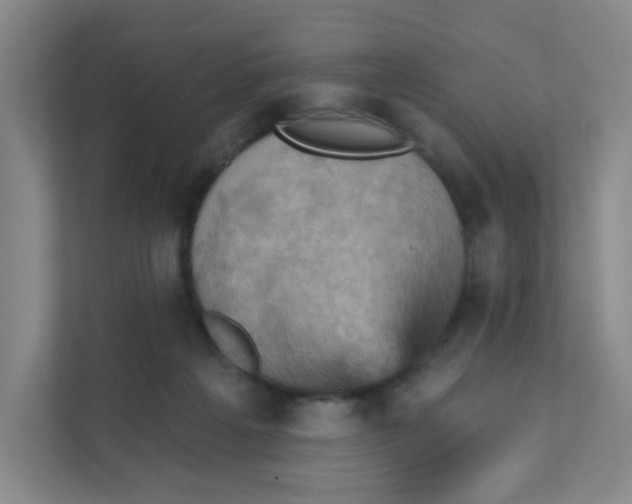 X0000111360217200907311019