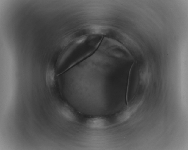 X0000111360219200907311019