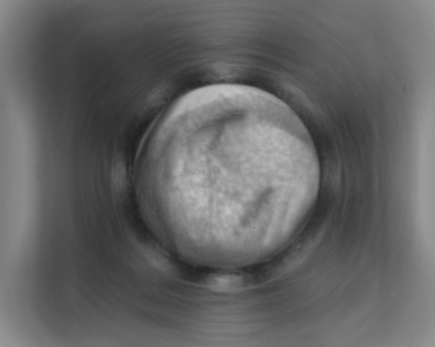 X0000111360220200907311019