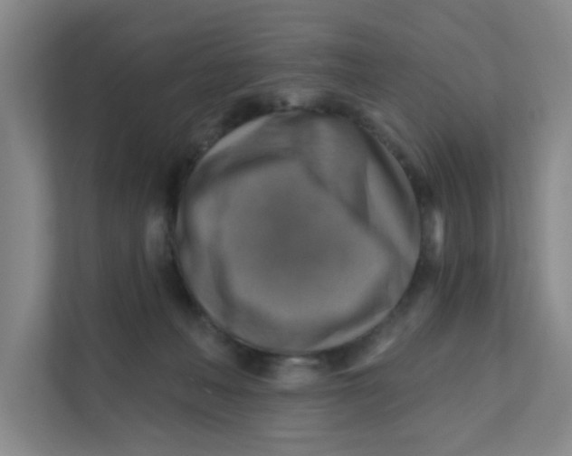 X0000111360222200907311019