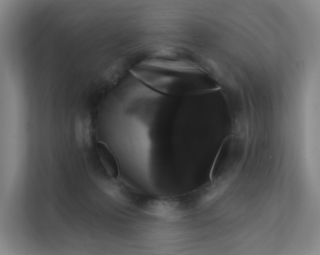 X0000111360223200907311019