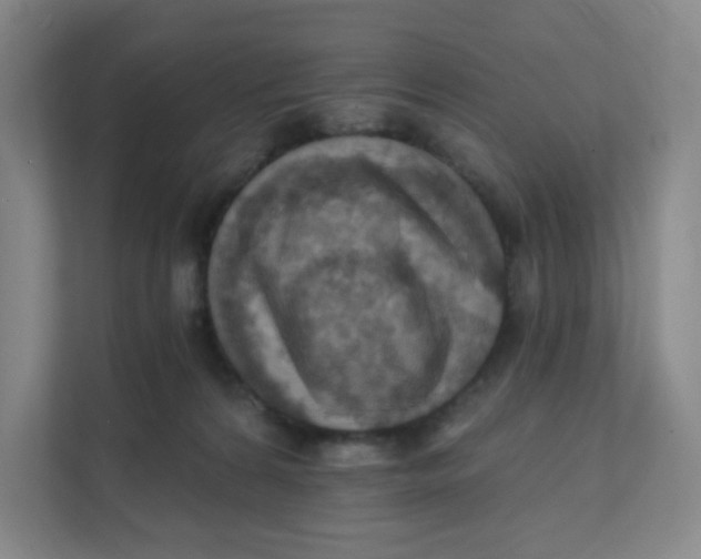 X0000111360224200907311019