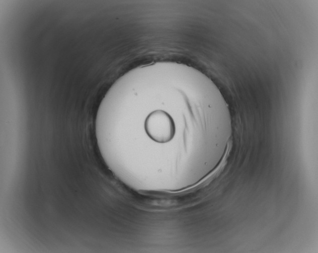 X0000111360225200907311019