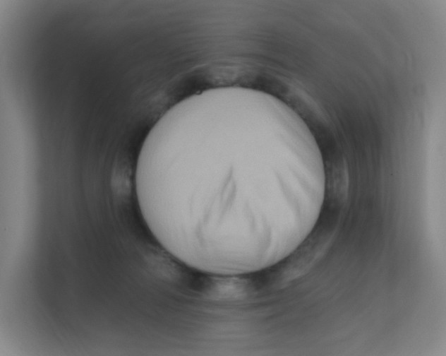 X0000111360226200907311019