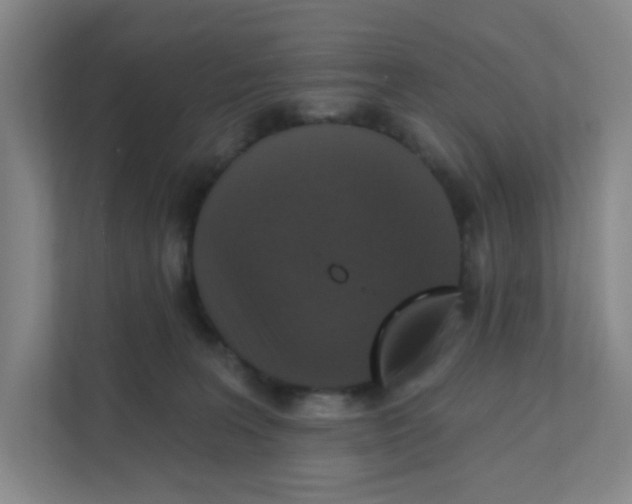 X0000111360227200907311019