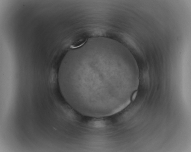 X0000111360228200907311019