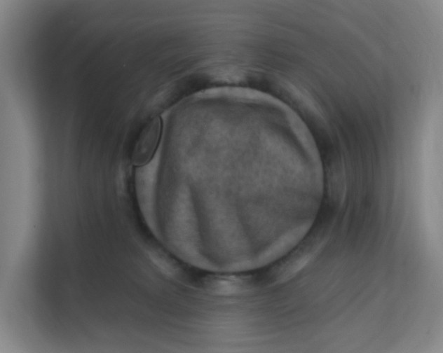 X0000111360229200907311019