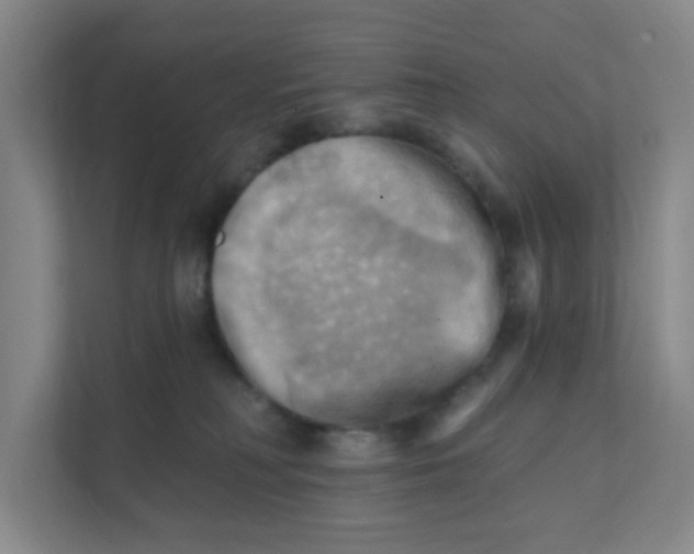 X0000111360230200907311019