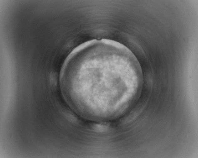 X0000111360232200907311019