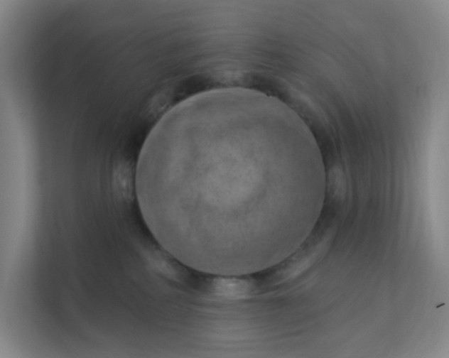 X0000111360234200907311019