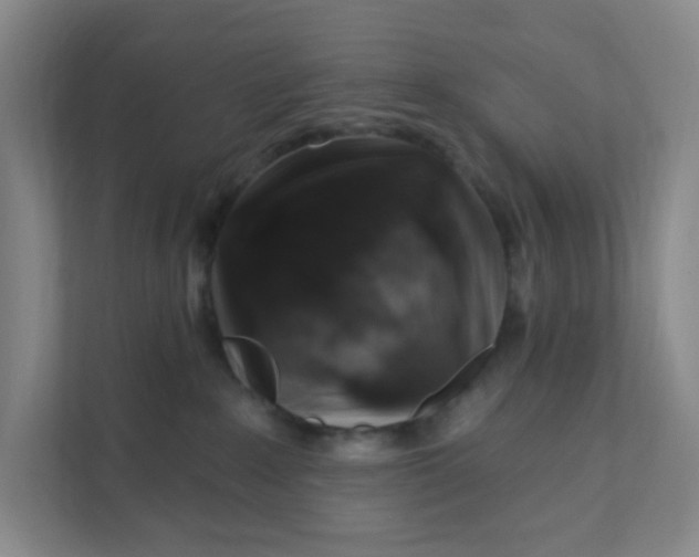 X0000111360235200907311019