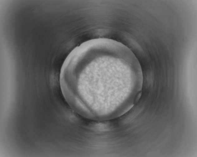 X0000111360236200907311019