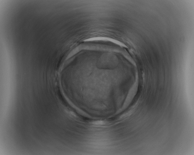 X0000111360237200907311019