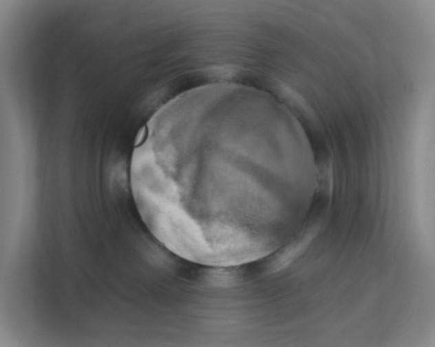 X0000111360238200907311019