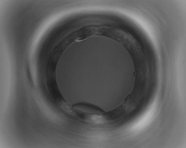 X0000111360239200907311019