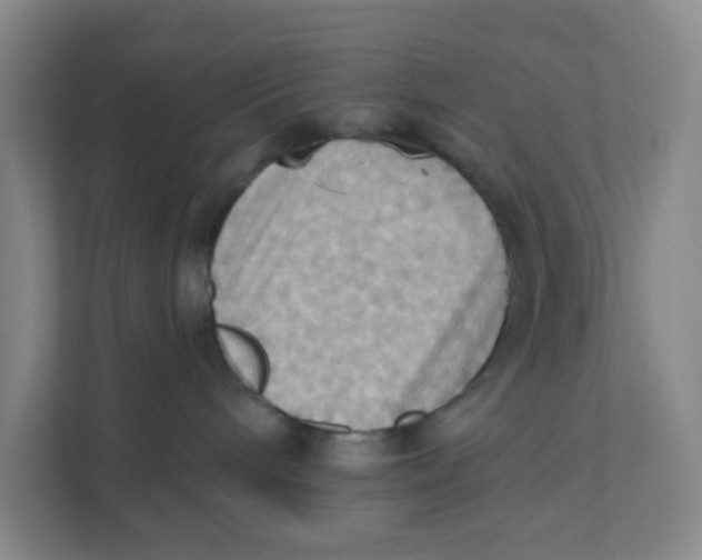 X0000111360240200907311019