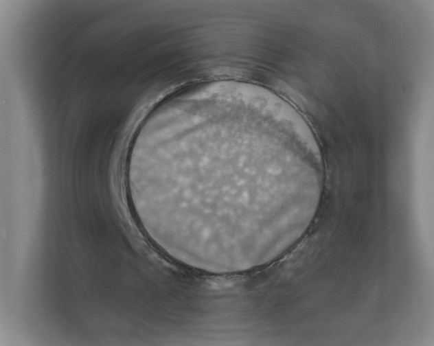 X0000111360241200907311018