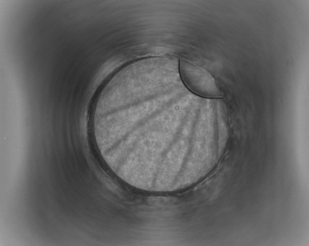 X0000111360242200907311018