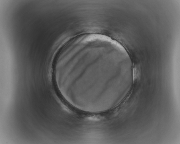 X0000111360243200907311018