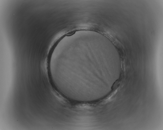 X0000111360244200907311018