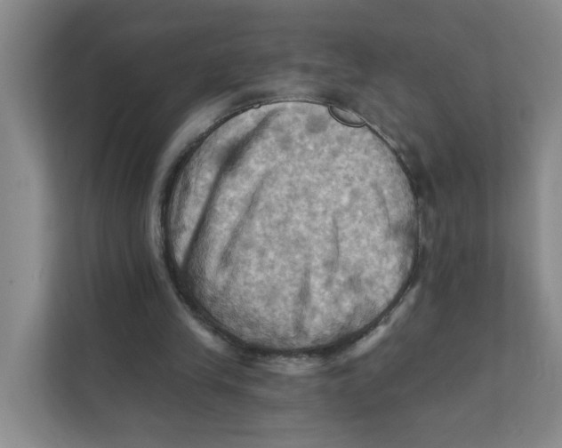 X0000111360245200907311018