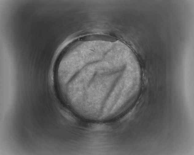 X0000111360246200907311018