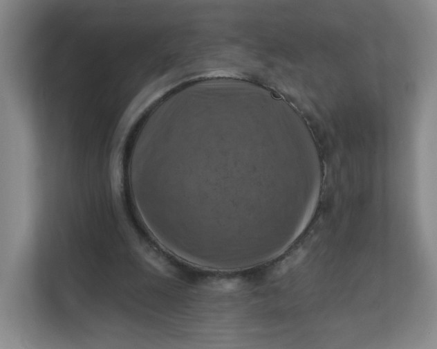 X0000111360247200907311018