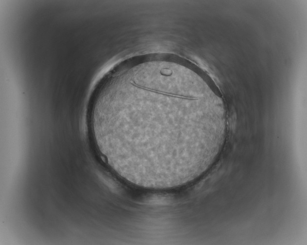 X0000111360248200907311018