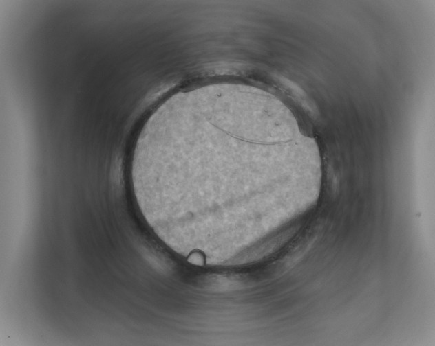 X0000111360250200907311018