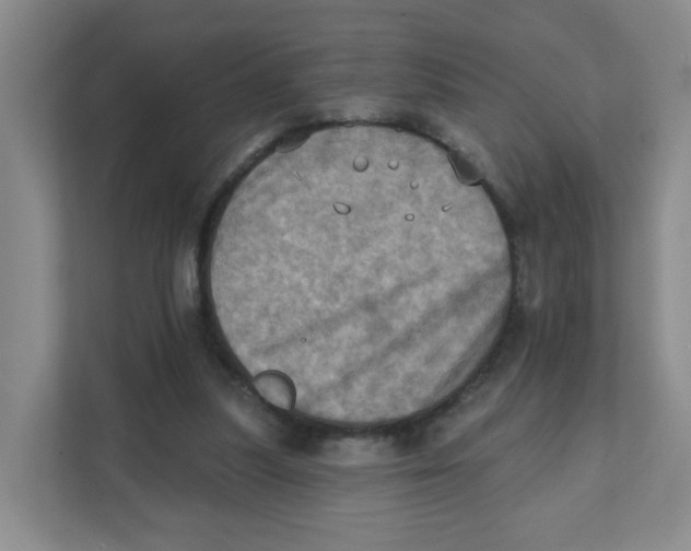 X0000111360251200907311018