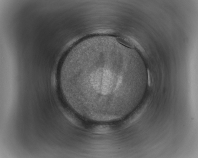 X0000111360252200907311018