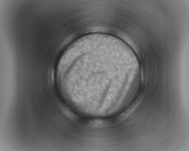 X0000111360253200907311018