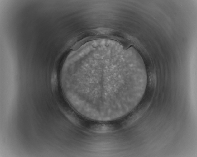 X0000111360254200907311018