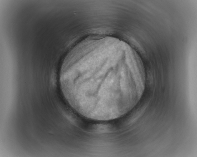 X0000111360255200907311018