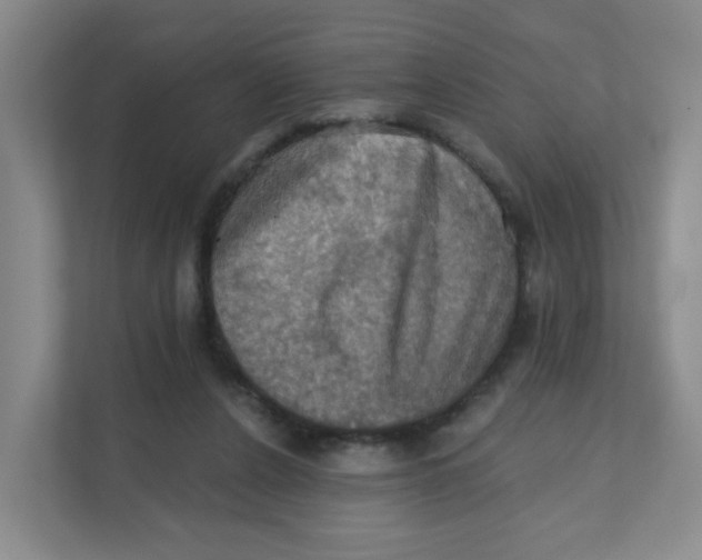 X0000111360256200907311018