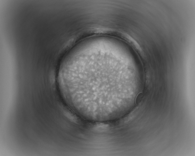 X0000111360257200907311018